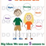 Five Senses - Kindergarten