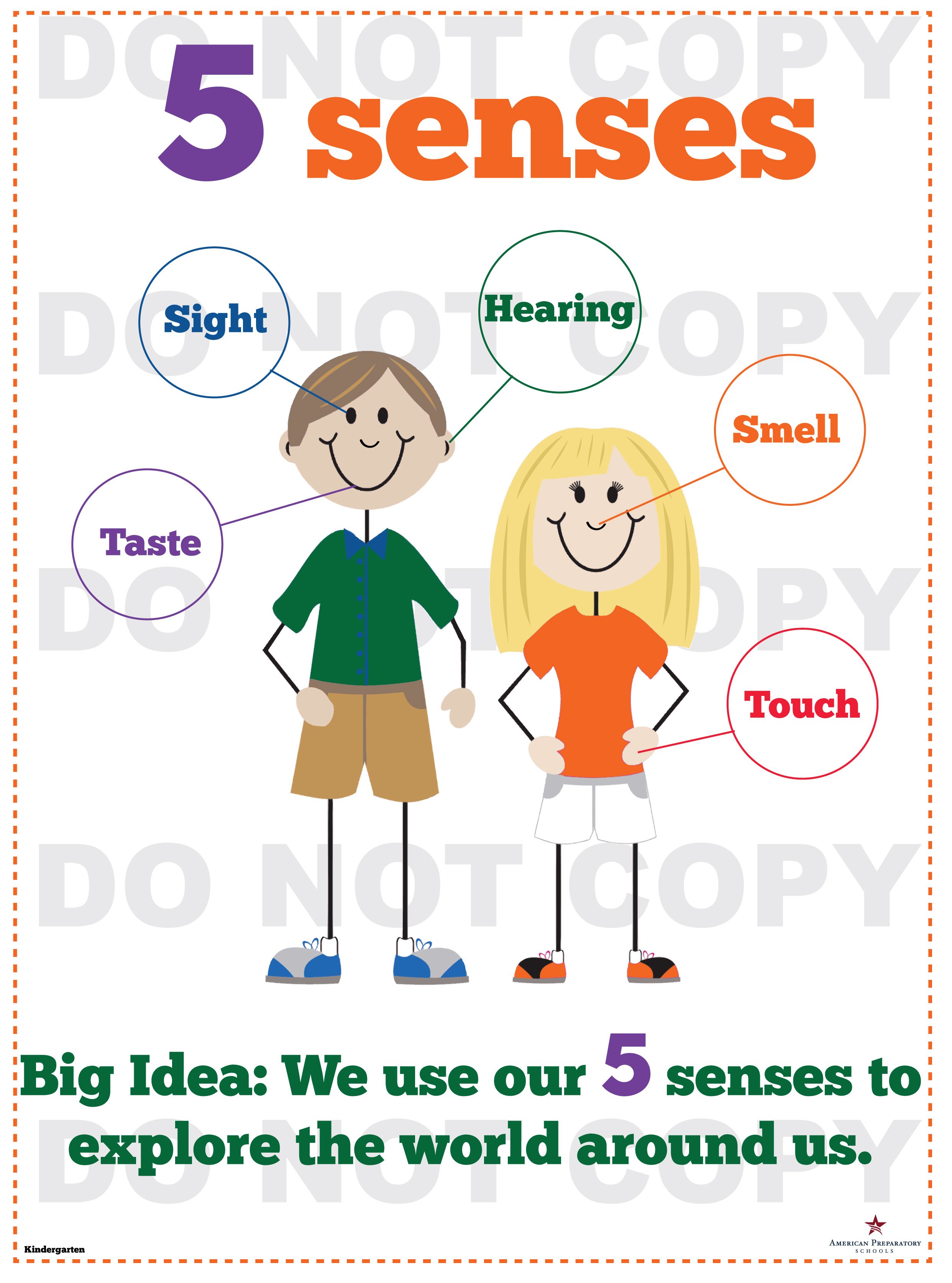 Five Senses - Kindergarten