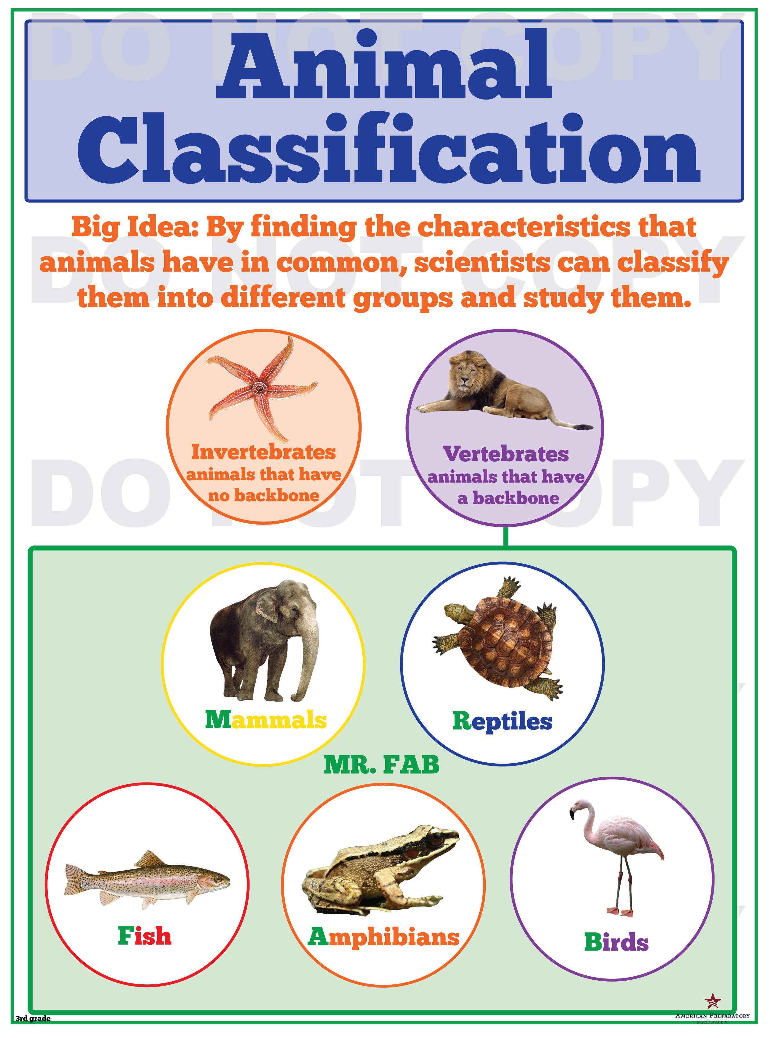 Animal Classification - 3rd Grade - American Preparatory Schools